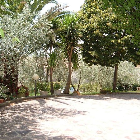 L'Uliveto Villa Montebuono  Exteriör bild