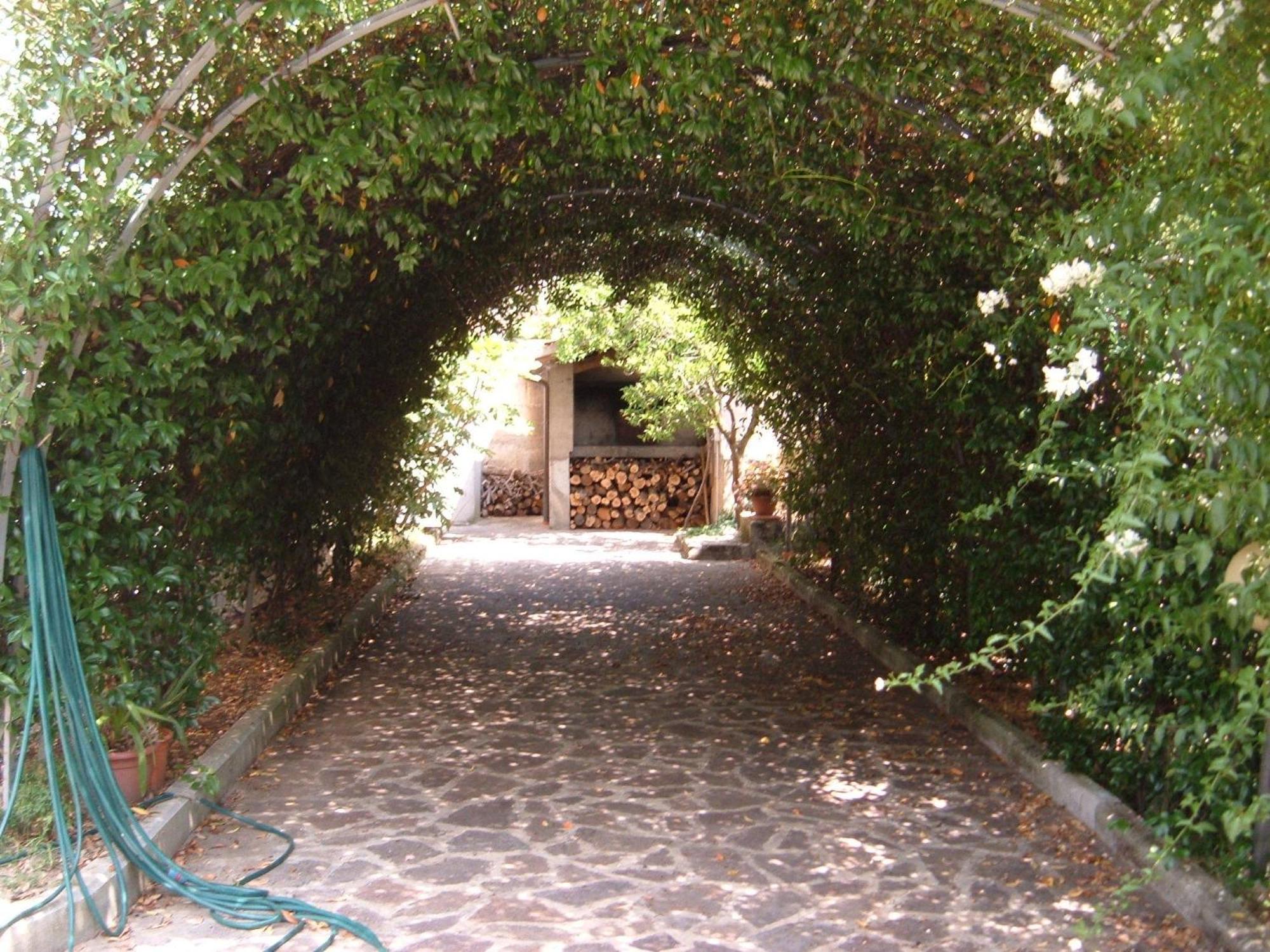 L'Uliveto Villa Montebuono  Exteriör bild